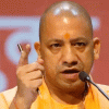 Yogi 2023-12-30