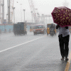 Rain 2024-11-26