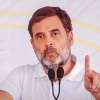 Rahul 2024-12-03