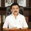Stalin-- 2025-10-09