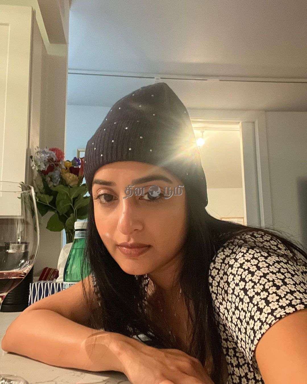 Meera Jasmine (5)