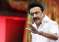 Stalin-a 2024-11-25