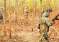 Naxalites 2024-11-16