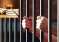 Jail 2024-05-01