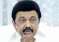Stalin 2024-11-26