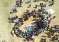 Nigeria-Attack 2025-06-15