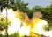 Thailand-Attack 2025-07-25