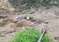 Jammu---Rain-2025-08-14