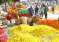 Thovalai-Flower 2023 06 28