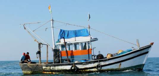 Fisher-man 2023-06-08