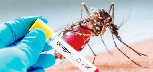 Dengue-fever 2023 06 20