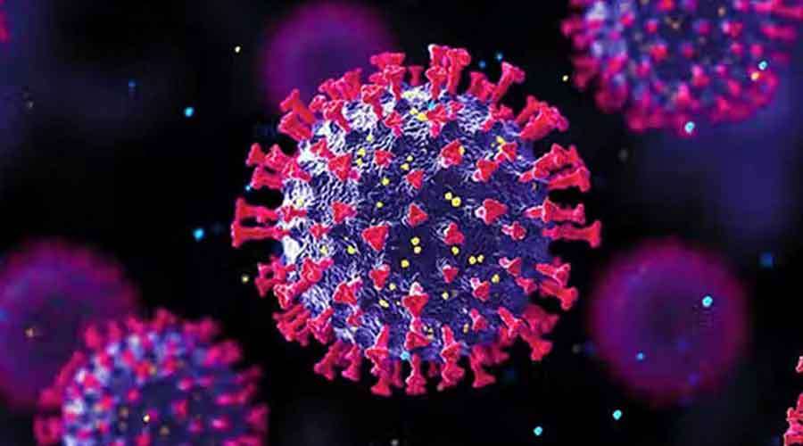 corona-virus
