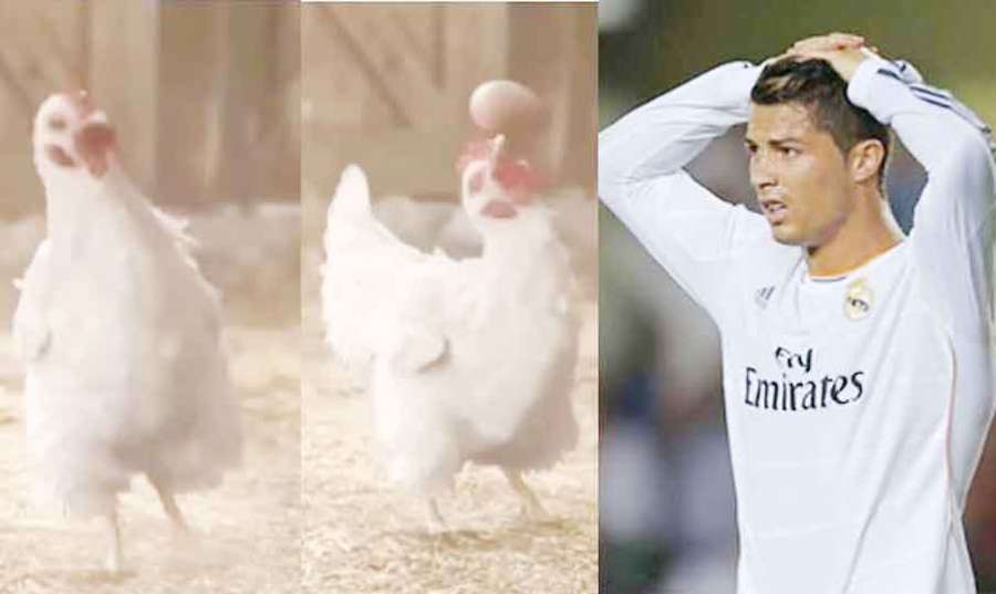 Ronalda 2022 04 18
