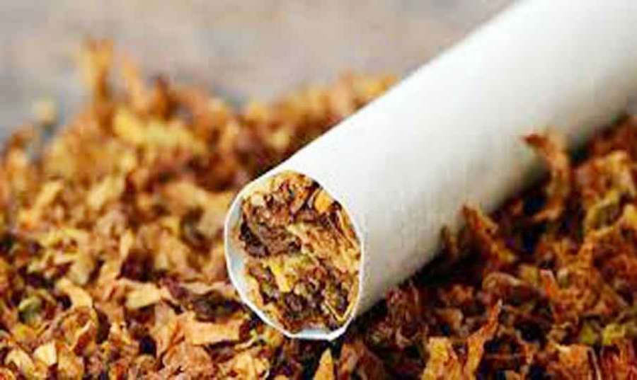 tobacco 2022-05-28