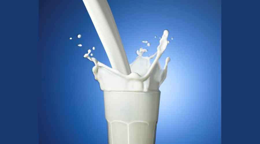 Milk-2022 08 11