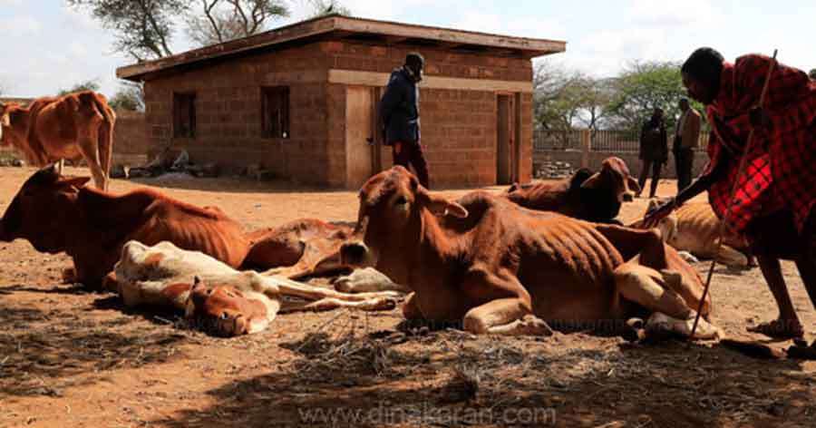 Kenya-2022-10-20