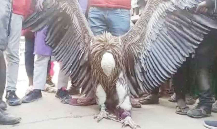 Kanpur 2023-01-09