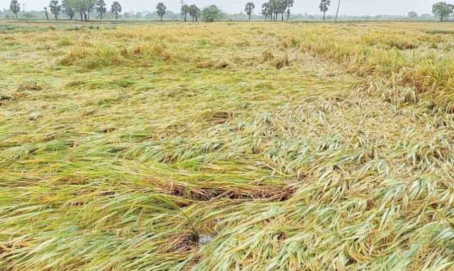 Farmers 2023 02 08