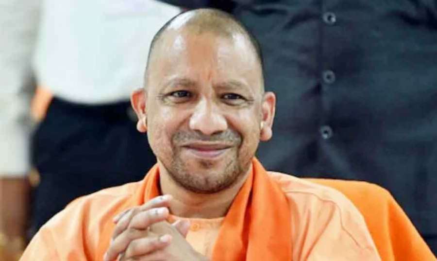 Yogi 2023 03 05