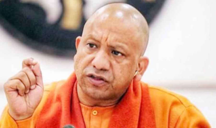 Yogi 2023 04 15