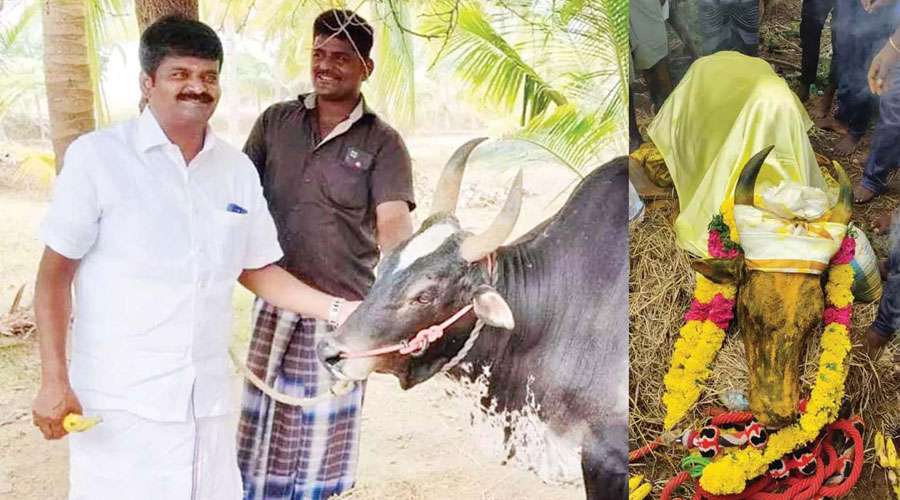 Vijayabaskar-2023-05-04