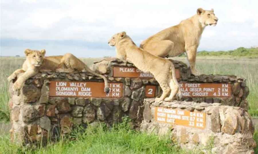 Kenya 2023-05-15