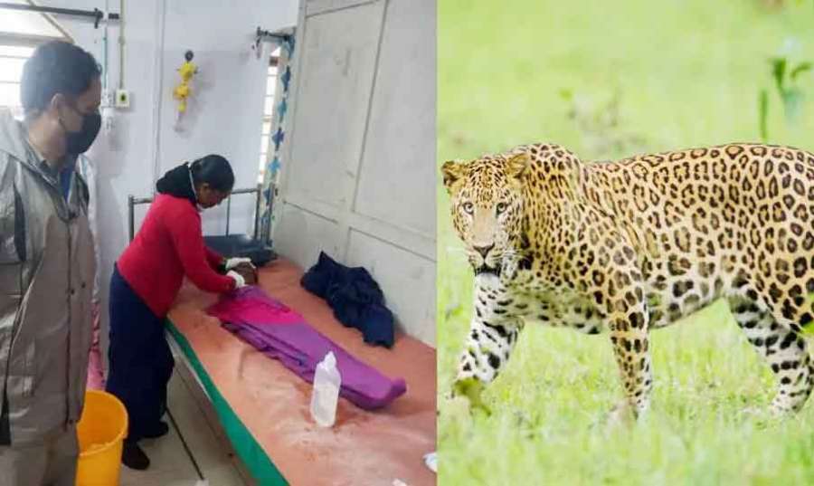 Tirupati 2023 08 13