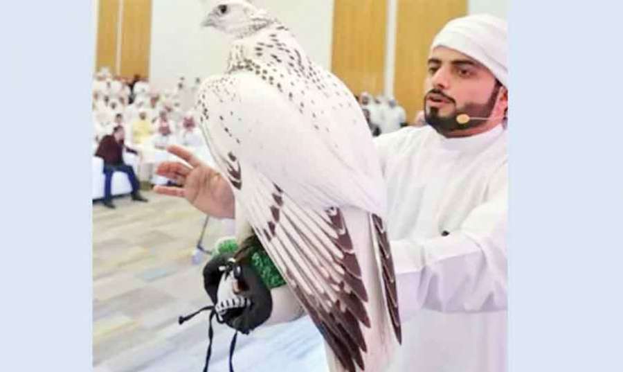Abu-Dhabi 2023-08-21