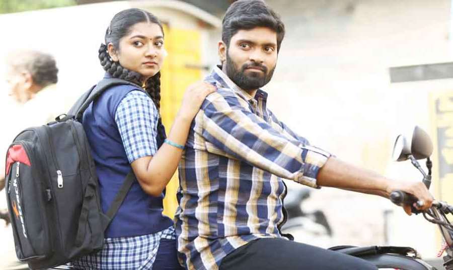 Red-Sandalwood-Review 2023-