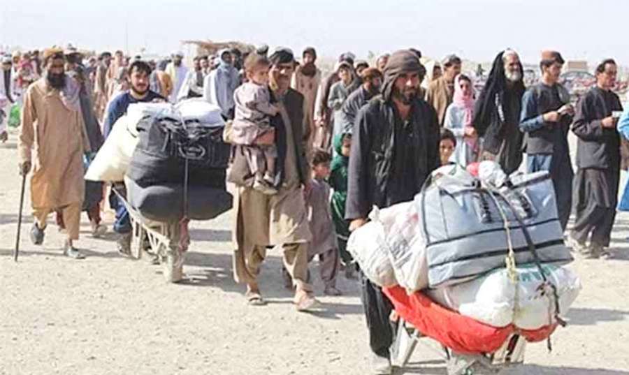 Pak 2023-10-31