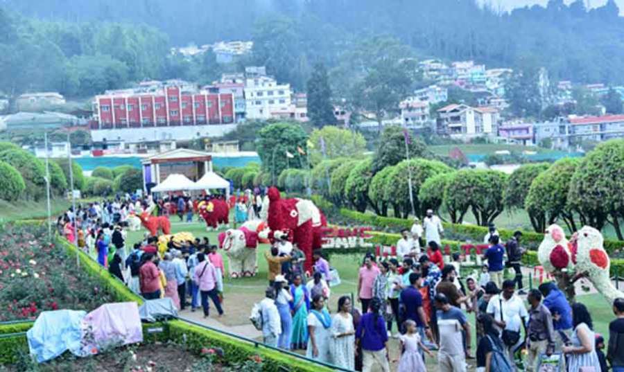 Ooty 2024-05-12-1