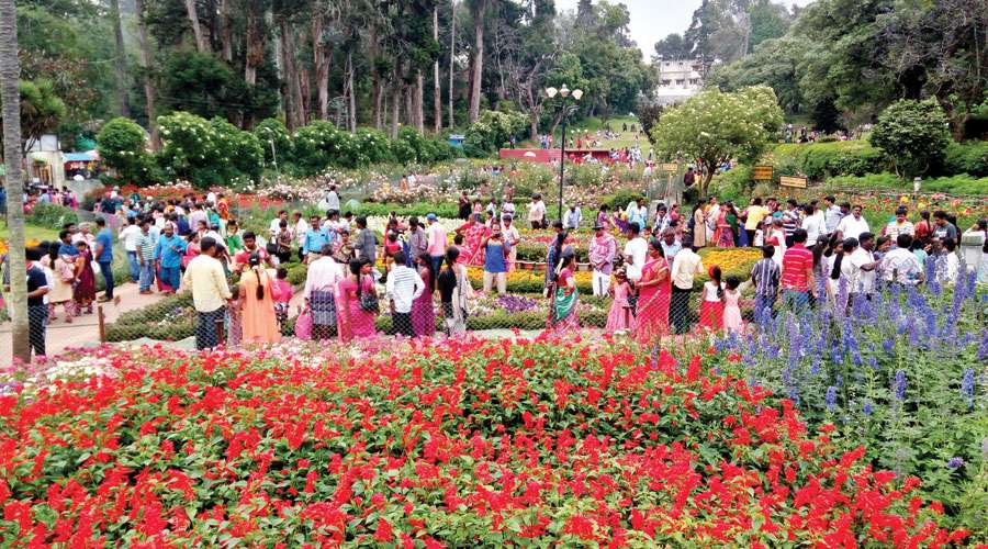 kodaikanal-bryant-park