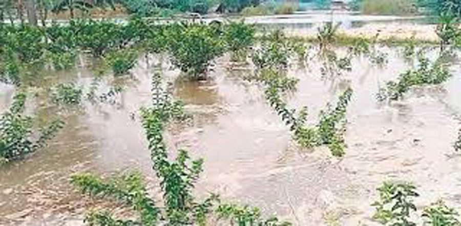 Tamilnadu-flood-2024-05-23