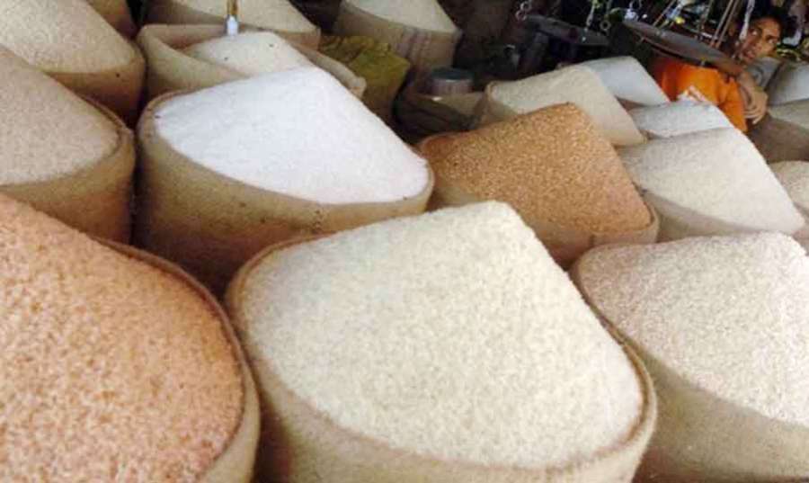Rice 2024 08-28