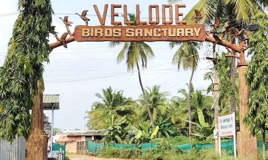Erode 2024 11 01
