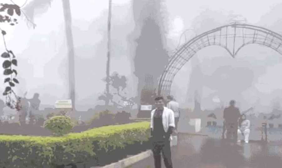 Yercaud 2024-11-17