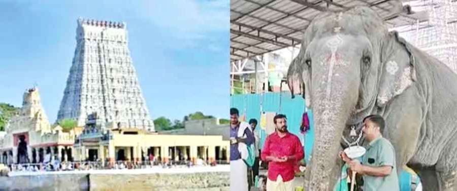 Tiruchendur 2024-11-18