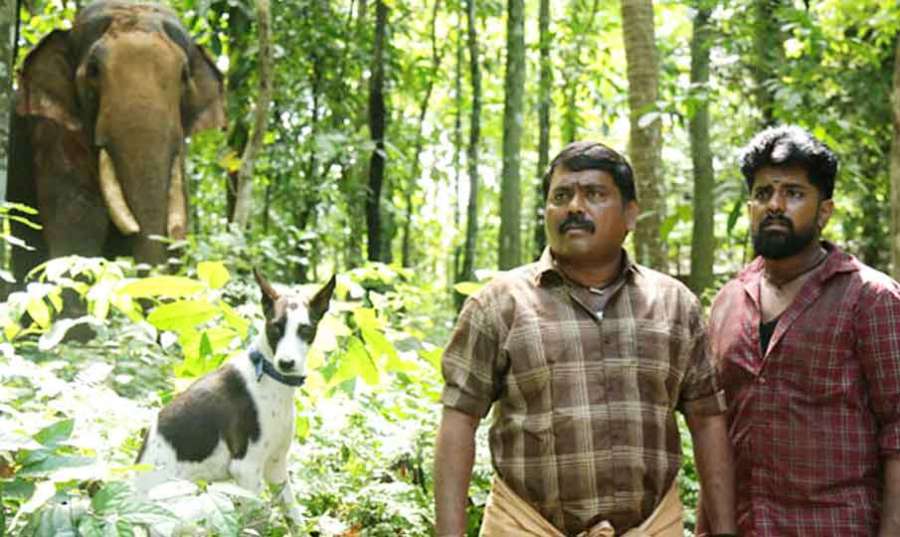 Alangu-Review 2024-12-30