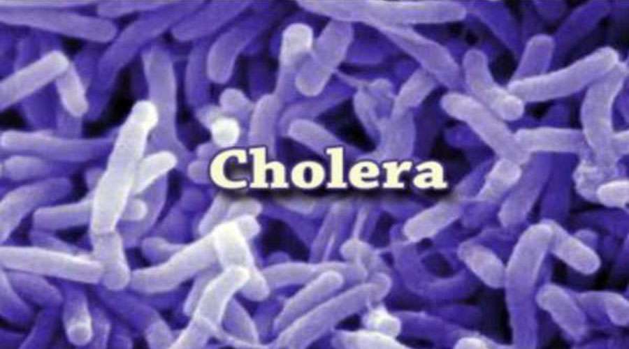 Cholera