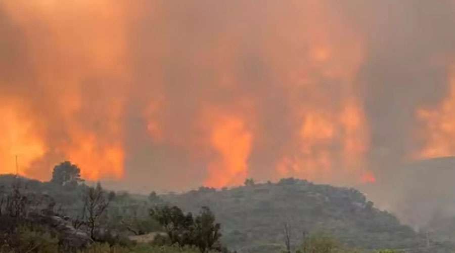 Spain-wildfire-2025-08-16