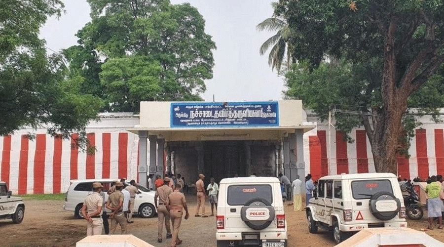 Rajapalayam 2025-11-20