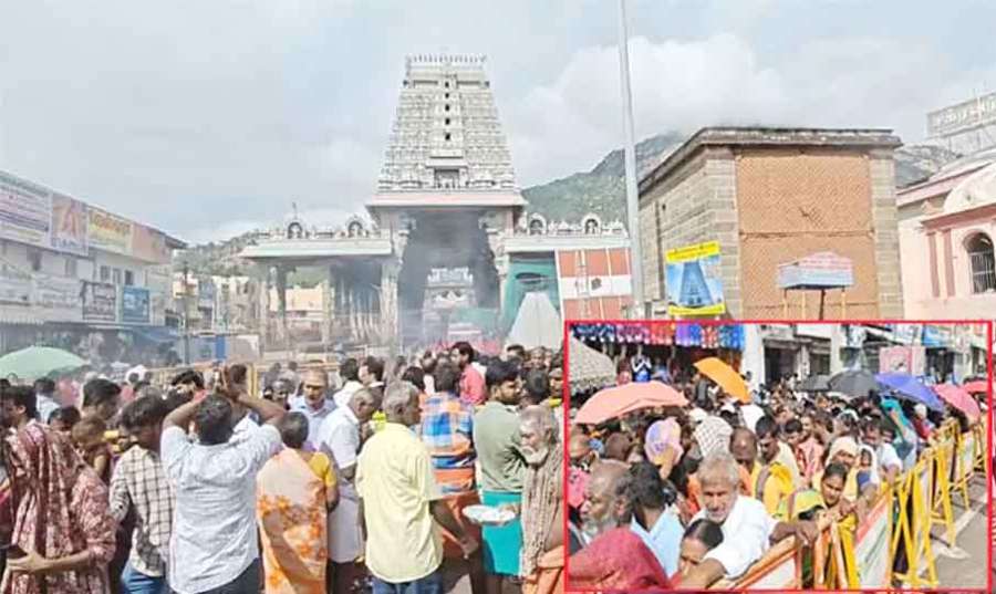 Thiruvannamalai 2024-11-15