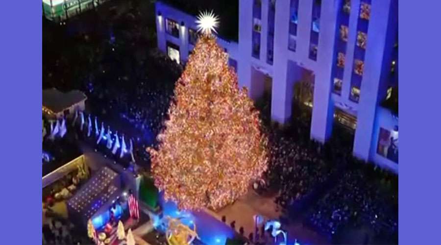 Christmas-tree--New-York