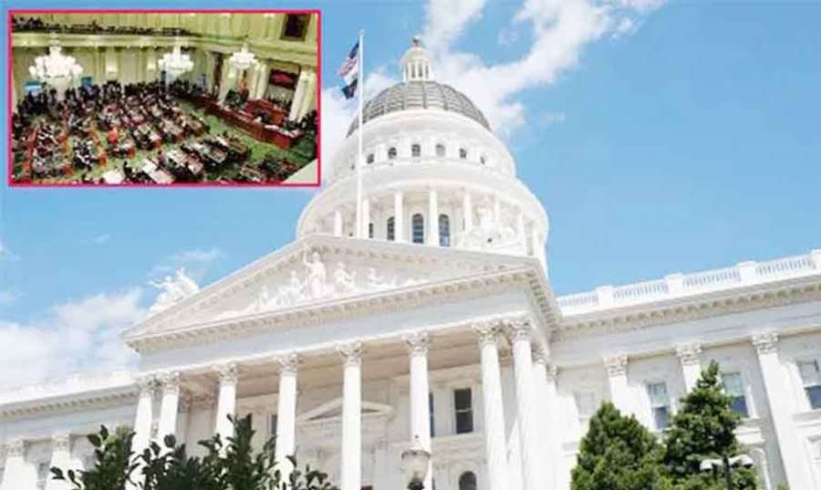 Whit haues 2023-08-29