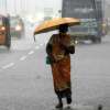 Rain 2024-12-04