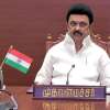 Stalin 2024-12-04