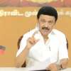 stalin 2025-01-06
