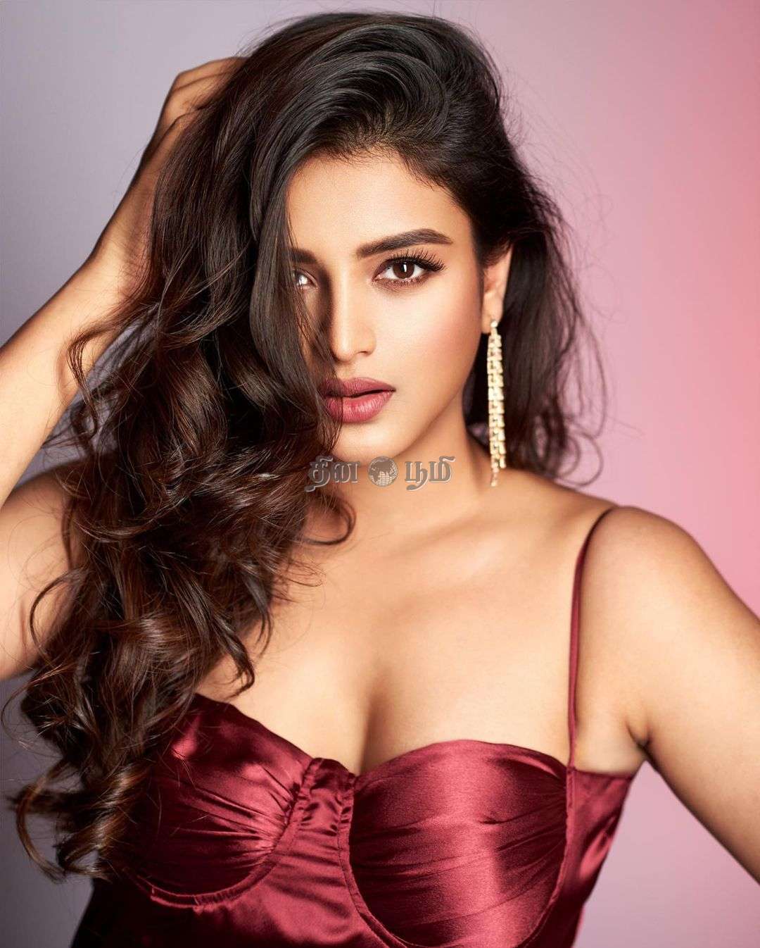 Nidhhi Agerwal (2)