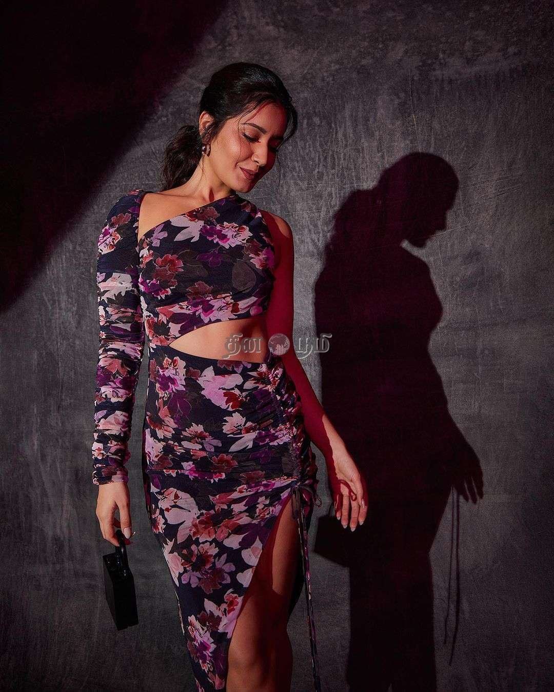 Raashii Khanna (5)