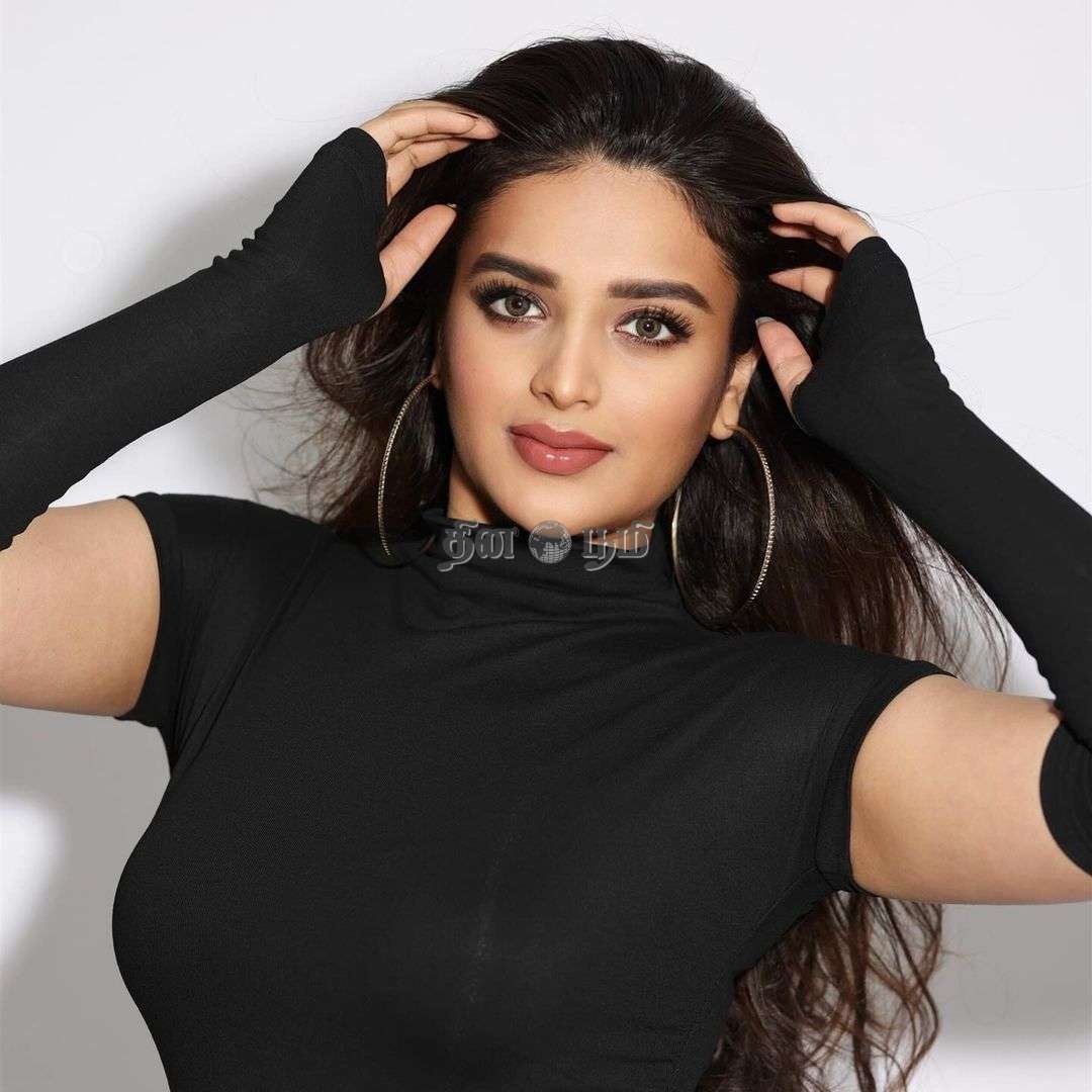 Nidhhi Agerwal (3)